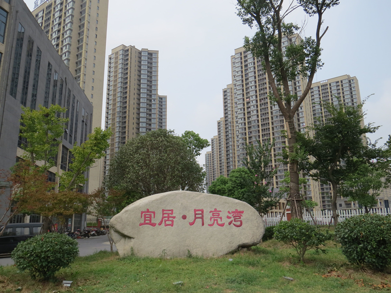 mg不朽情缘